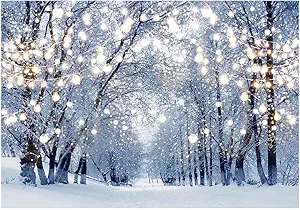 Funnytree 7x5ft Winter Scene Backdrop Wonderland Snowflake Photography Background Bokeh Glitter White Snow Forest Christmas Party Decoration Tree Landscape Kids Portrait Photobooth Photo Studio Props