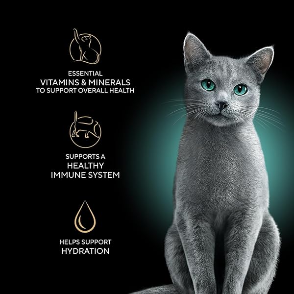 SHEBA PERFECT PORTIONS WET CAT FOOD CUTS IN GRAVY, ROASTED CHICKEN ENTREE AND WITH SUSTAINABLE TUNA, 2.6 OZ. TWIN-PACK TRAYS (12 COUNT, 24 SERVINGS)