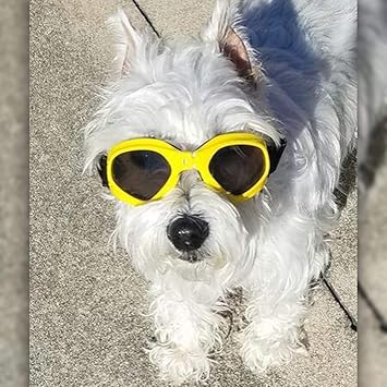 petleso dog goggles