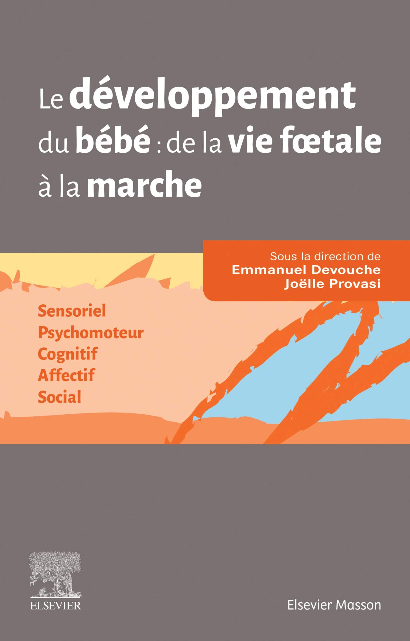 Amazon Fr Le Developpement Du Bebe De La Vie Foetale A La Marche Sensoriel Psychomoteur Cognitif Affectif Social Devouche Emmanuel Provasi Joelle Livres