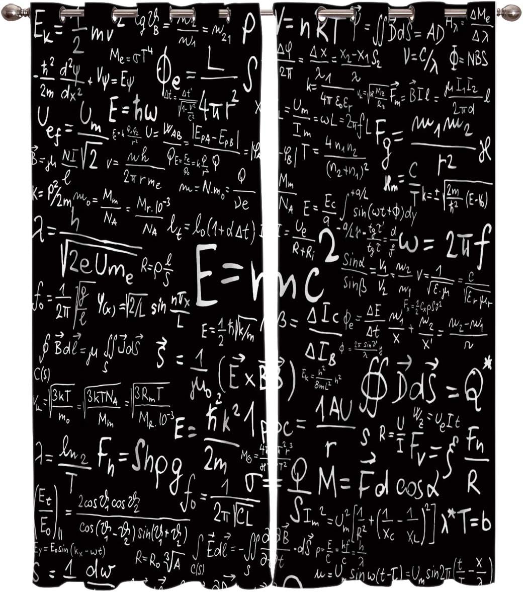 FunDecorArt Blackout Curtains, Blackboard Mathematics Draft E=MC^2 Polyester Shade Curtains, 2 Panel Drapes/Window Treatment for Bedroom/Living Room/Office/Teen Room, 104 W x 63 L inches