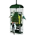 Brome Bird Care Squirrel Buster Truly Squirrel-Proof Suet Feeder (Green)
