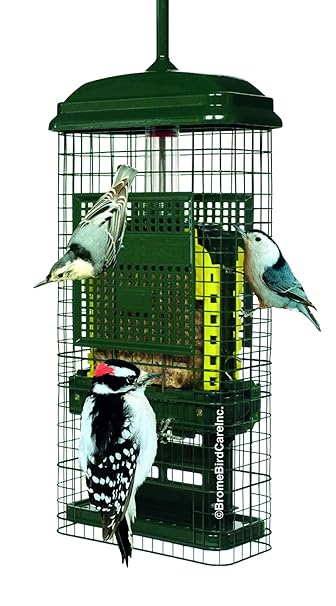 Squirrel Buster Suet Squirrel Proof Suet Bird Feeder W 2 Suet Cake