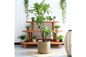 PotSonntag 14 inch Large Seagrass Woven Planter Basket - Wicker Planter Basket with Plastic Film Insert for Indoor Plants, La