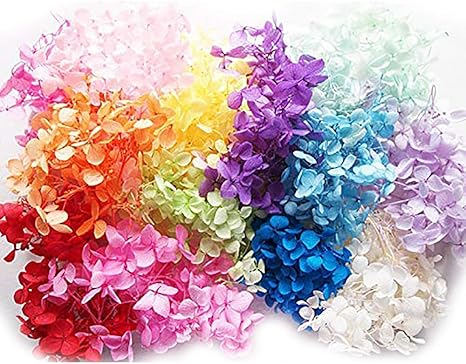 Amazon 1 セットあじさい ハーバリウム用 小分け レジン パーツ クラフト ヘッド プリザーブドフラワー約10ｇ配達3 5労働日まで プリザーブドフラワー オンライン通販