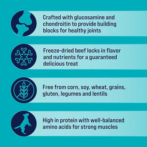 STEWART FREEZE DRIED DOG TREATS, HEALTHY HIPS WITH GLUCOSAMINE FOR DOGS, HEALTHY, LIMITED INGREDIENT GRAIN FREE DOG TREAT, BEEF & SWEET POTATO RECIPE, 8 OUNCES, RESEALABLE POUCH, LIGHT BROWN (402303)