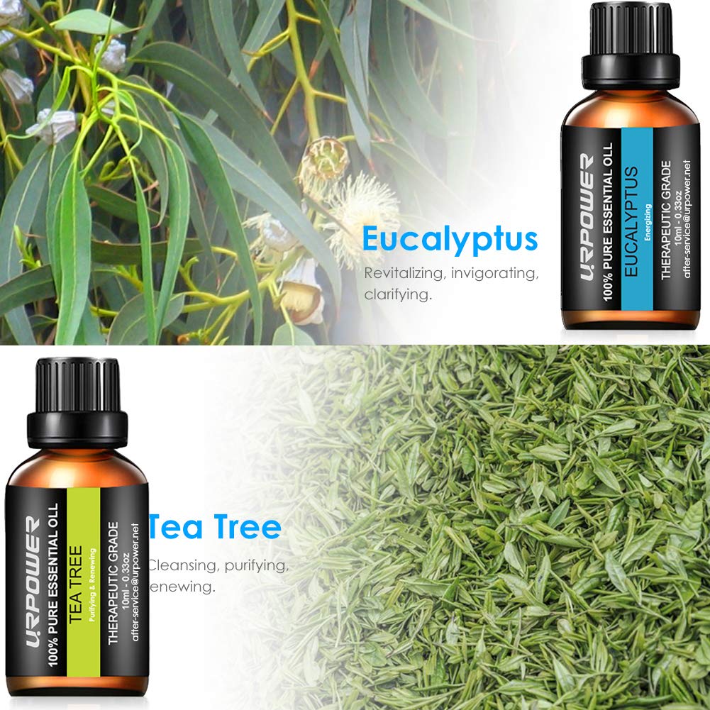 URPOWER Essential Oils Top 8 Aromatherapy Essential Oils 100% Pure Therapeutic Grade Essential Oils Set Lavender/Peppermint/Tea Tree/Orange/Eucalyptus/Lemongrass/Frankincense/Rosemary: Health & Personal Care