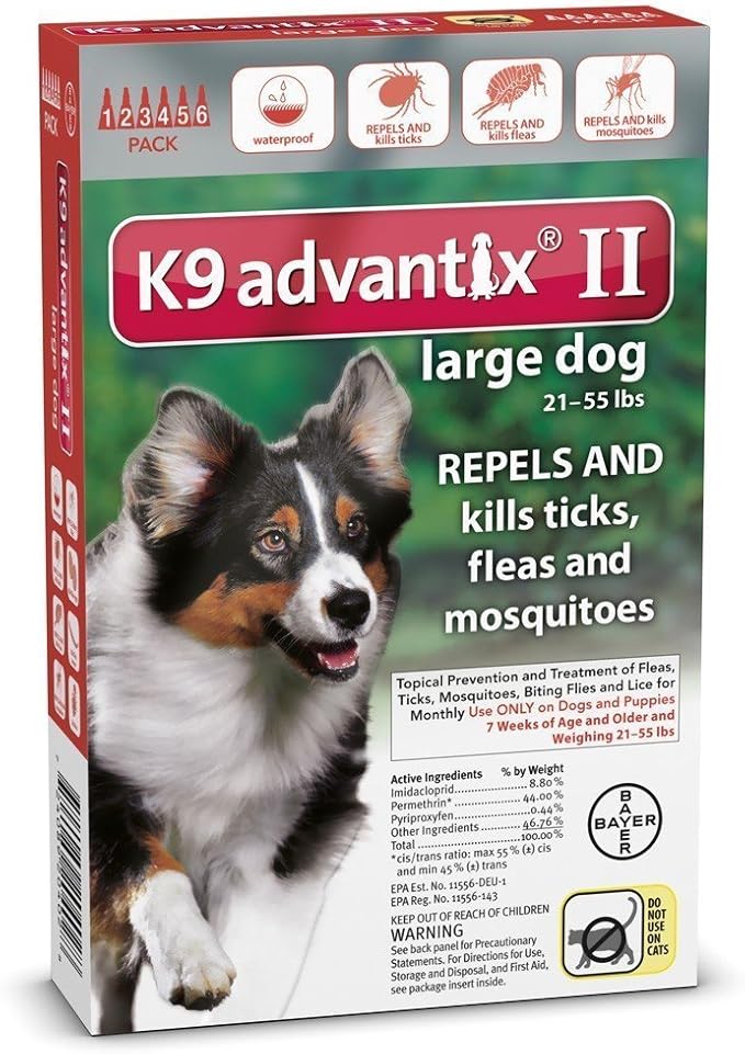 top ten dogs for kids