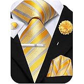 Hi-Tie Mens Paisley Floral Striped Ties Set Silk Necktie and Lapel Pin for Men Pocket Square Cufflinks Set Business Wedding