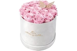 Cyrabota 16 Pink Preserved Flowers in Round Gift Box, Forever Flowers Eternal Roses for Mother's Day, Birthday, Anniversary, Valentine's Day Gifts for Women Light Pink