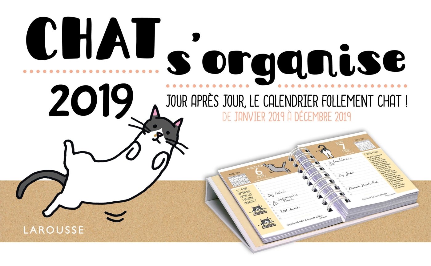 Chat S Organise Jour Apres Jour Le Calendrier Follement Chat De Janvier 19 A Decembre 19 Calendrier Animaux French Edition Amazon Com Books Chat S Organise Jour Apres Jour Le Calendrier Follement Chat De Janvier 19 A Decembre 19 Calendrier Animaux French Edition Amazon Com Books
