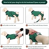 Kuoser Dog Surgery Recovery Suit Adjustable Post Surgery Green L view 4
