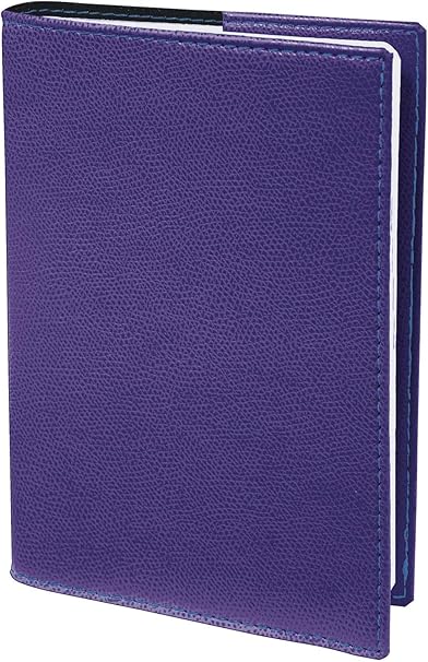 Quo Vadis Club Le Professeur Agenda Scolaire 2 Semaines Sur 2 Pages 21x27cm Violet Iris Annee 2020 2021 Amazon Fr Fournitures De Bureau