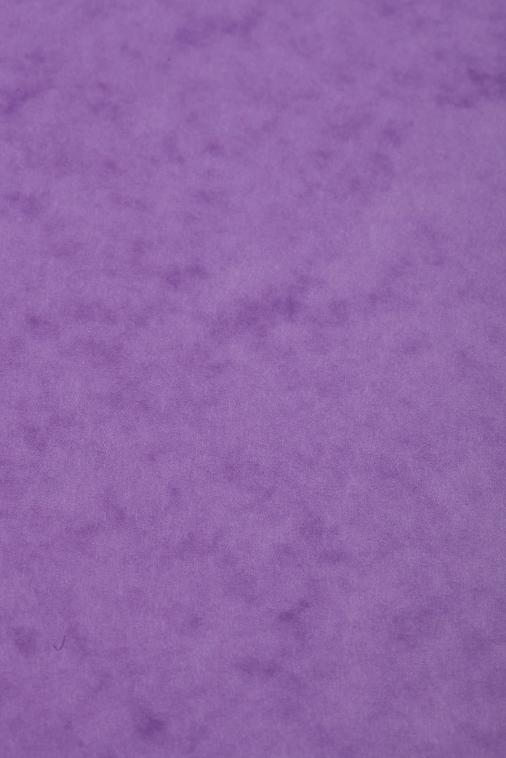 Clairefontaine - Ref 3132Z - Europa Coloured Card (Pack of 50 Sheets) - A4 (297 x 210mm) Size, 265gsm, 300 Micron Mottled Pressboard, Acid Free - Lilac Colour