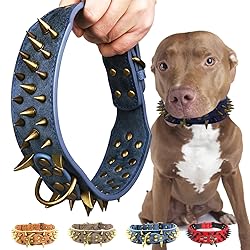 Kawagogo Spiked Studded Dog Collar with Large Sharp