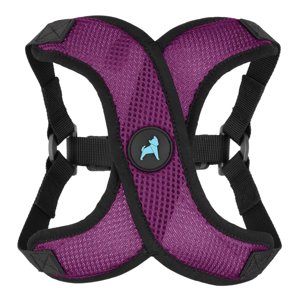 Photo 1 of Gooby Comfort X Step in Lite Dog Harness - Choke Free, Escape Free with Light Breathable Mesh - Step in Dog Harness for Small Dogs Only - Quick Release Buckle, Metal D-Rings - Purple, X-Small
