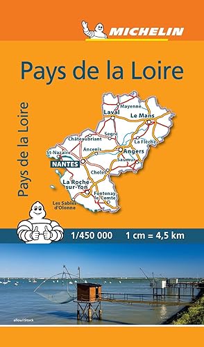 Download Mini Carte Pays de la Loire Michelin PDF