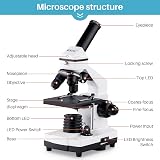 BEBANG 100X-2000X Microscope for Kids Adults Professional Biological Kit view 6