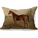 MVLJG Vintage Horse Pillow Covers 12x20, Gifts for Horse Lovers, Equestrian Gifts, Farmhouse Rustic Country Farm Animal Decorative Throw Pillow Covers for Home Living Room Bedroom