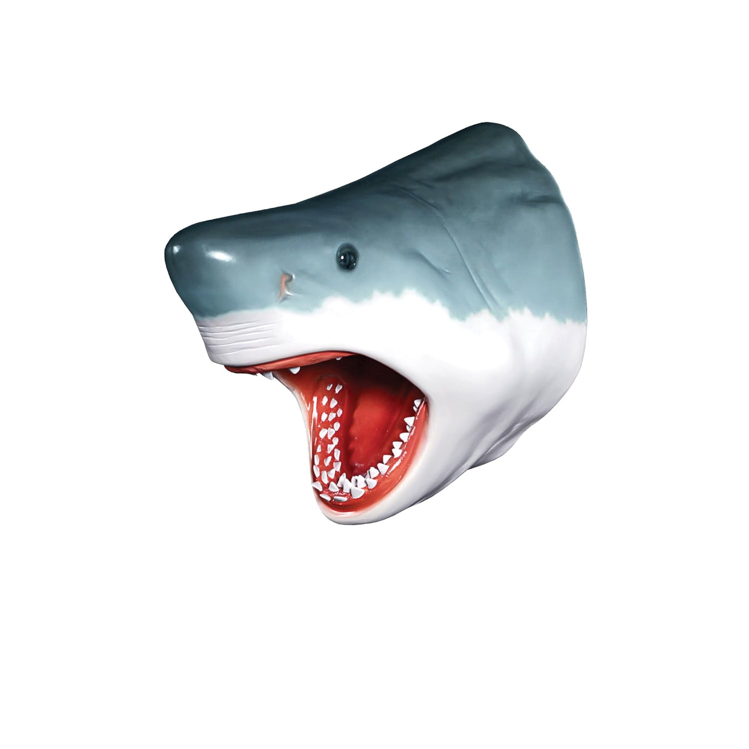 Design Toscano White Shark Wall Mount Trophy Sculpture 30 Inch grey
