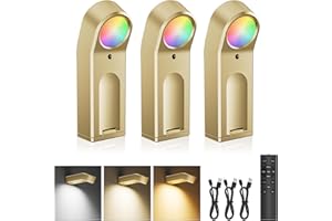 AIFEI Picture Lights for Wall, 4000mAh Rechargeable Battery Operated Picture Light with Remote, Dimmable 3 Color Temps & 8 RG
