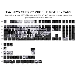 GMKWTL XVX Swordsman Double Shot PBT Keycaps, Side
