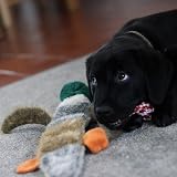 Petface Luxury Multi Squeak Duck Plush Dog Toy view 6