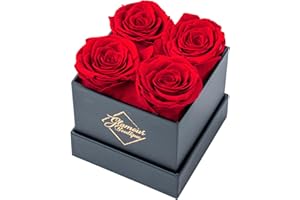 GLAMOUR BOUTIQUE Preserved Roses in a Box - 4 Roses Flowers Decor for Birthday Gift, Cased in A Square Gift Box with Lid, 4” x 4” x 5, White