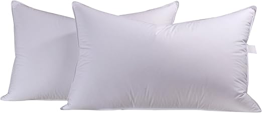 Amazon Com Eastwarmth Bedding Natural Goose Down Feather Pair