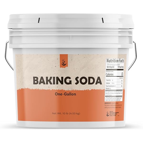 Birch & Meadow Borax Unscented Laundry & Cleaning Additive 1 Pound...