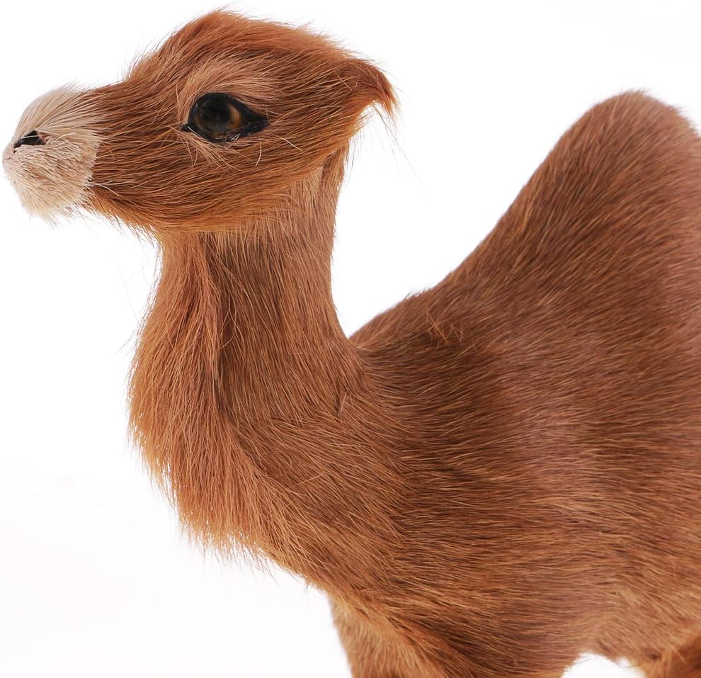 Homyl Dromadaire Modele De Simulation Chameau Jouet Interactif Cadeau Noel Anniversaire Enfant Amazon Fr Jeux Et Jouets