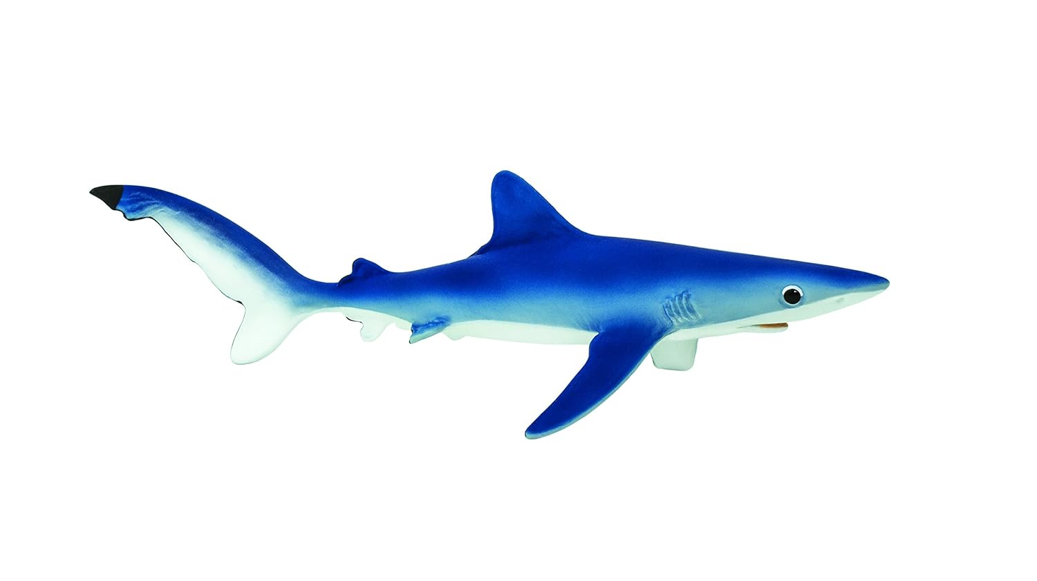 Safari Ltd Monterey Bay Aquarium Sea Life – Blue Shark – Realistic Hand Painted Toy Figurine Model – Quality Construction from Safe and BPA Free Materials – For Ages 3 and Up