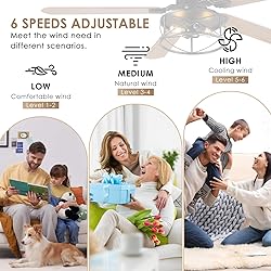 Farmhouse Ceiling Fan with Light and