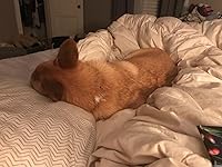 Review Image by Jessica Edwards