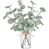 Piklado Fake Eucalyptus Stems in Vase with Faux Water,Artificial Plants Eucalyptus Leaves for Shelf Desk Bathroom Farmhouse Room Coffee Table Faux Greenery Plants Decorations (Green)