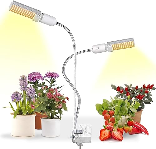 hstcstbl-table__image