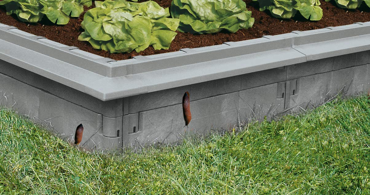 Juwel Schneckenkante