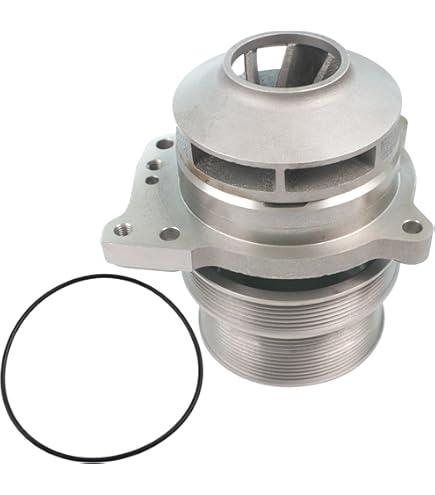 壺　大きめ Amazon.com: Solarhome Water Pump 4089910 4089910RX 4089158