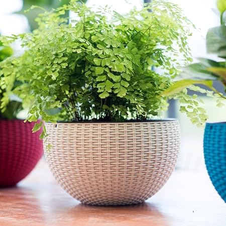 Green Port Hanging Planter Gamla Pot (Multicolour, Pack of 6)