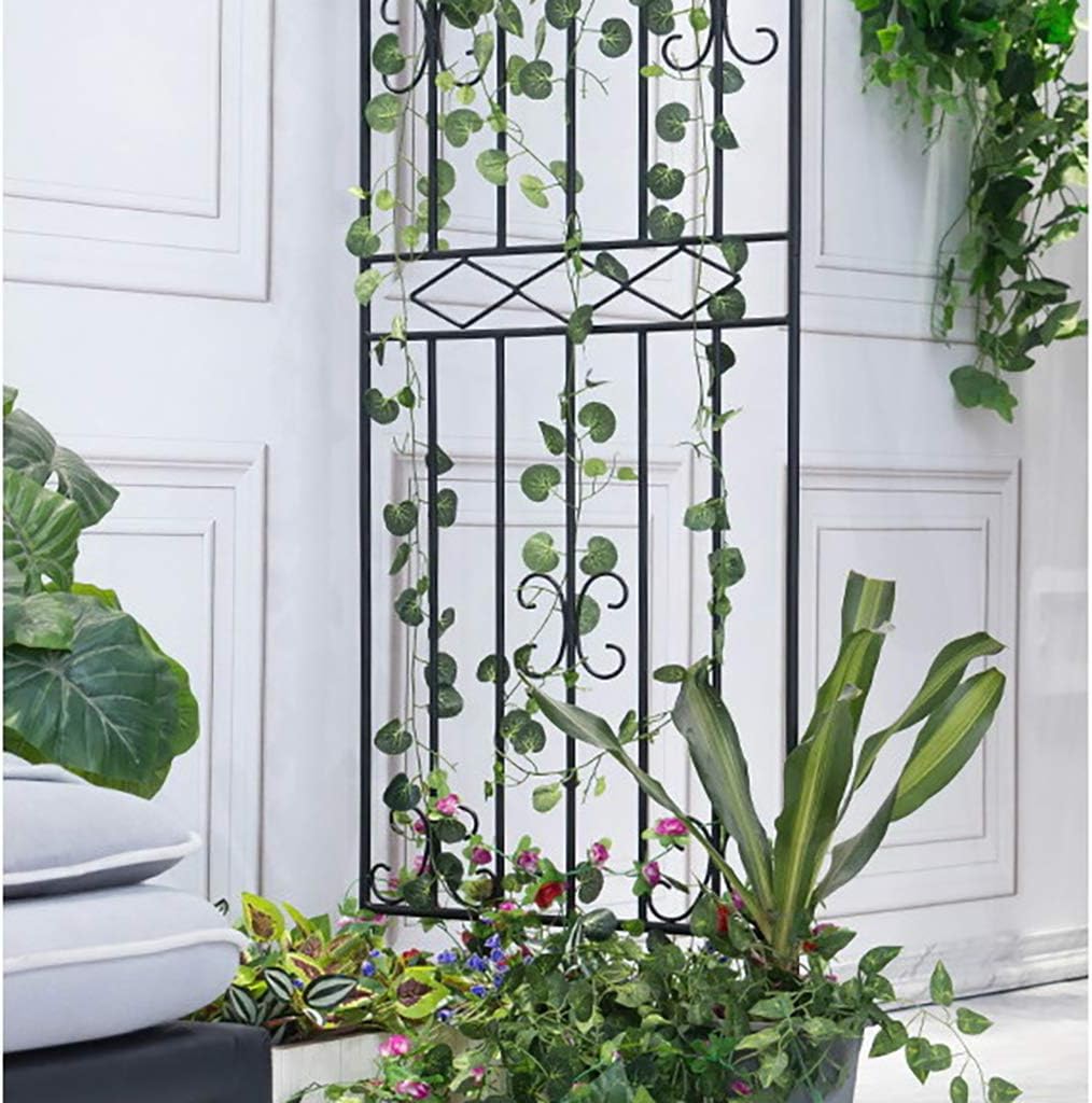 Retouhqp Enrejado De Jardín Con Enrejado De Pepino, Enrejado De Metal  Grande De 5 Pies De Alto Para Plantas Trepadoras, Soporte De Verduras,  Guisantes, Frutas, Vides, Enrejado Al Aire Libre Con, image size:1014x1024