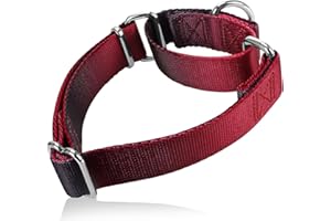 Axdvk Martingale Dog Collar Colorful Gradient Fashionable - Anti-Escape Soft Durable Pets Collar for Walking Training Outdoor Daily Use -Medium, Burgundy