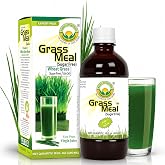 Basic Ayurveda Wheatgrass Sugar Free Juice | 16.23 Fl Oz (480ml) | Chlorophyll-Rich Plant-Based Wellness Drink | Supports Digestion &amp; Energy | No Added Sugar | Gluten-Free, Non-GMO &amp; Vegan