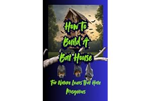 How To Build A Bat House: For Nature Lovers That Hate Mosquitoes