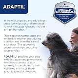 ADAPTIL Adaptil Calming Dog Collar for Small Dogs Brand New view 5