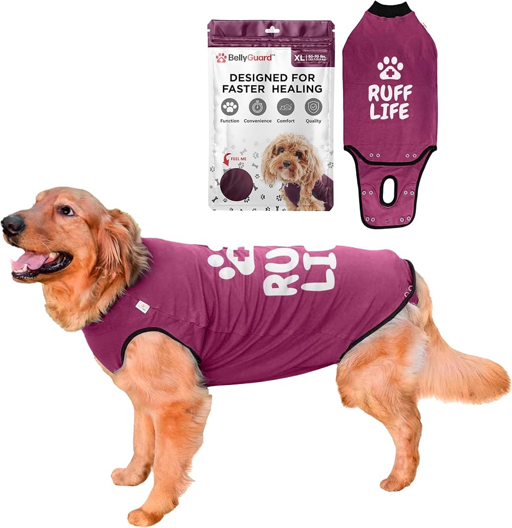 BellyGuard Dog Surgery Recovery Suit Post-Op Bodysuit for Dogs