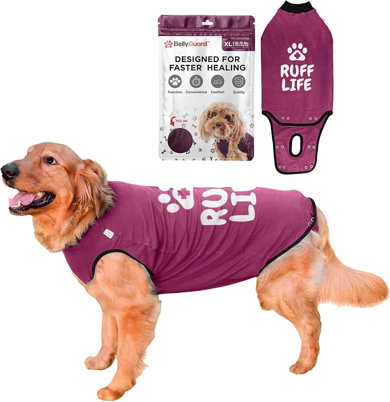 BellyGuard Dog Surgery Recovery Suit Post-Op Bodysuit for Dogs