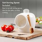 WM Bartleet & Sons 1750 Small Porcelain Salt Pot with Wooden Spoon 9cm view 4