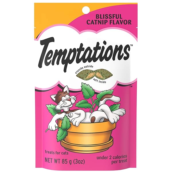 TEMPTATIONS CLASSIC TREATS FOR CATS BLISSFUL CATNIP FLAVOR 3 OUNCES