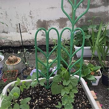 Lopbinte DIY Enrejado De Jardín para Plantas Trepadoras, Flores ...
