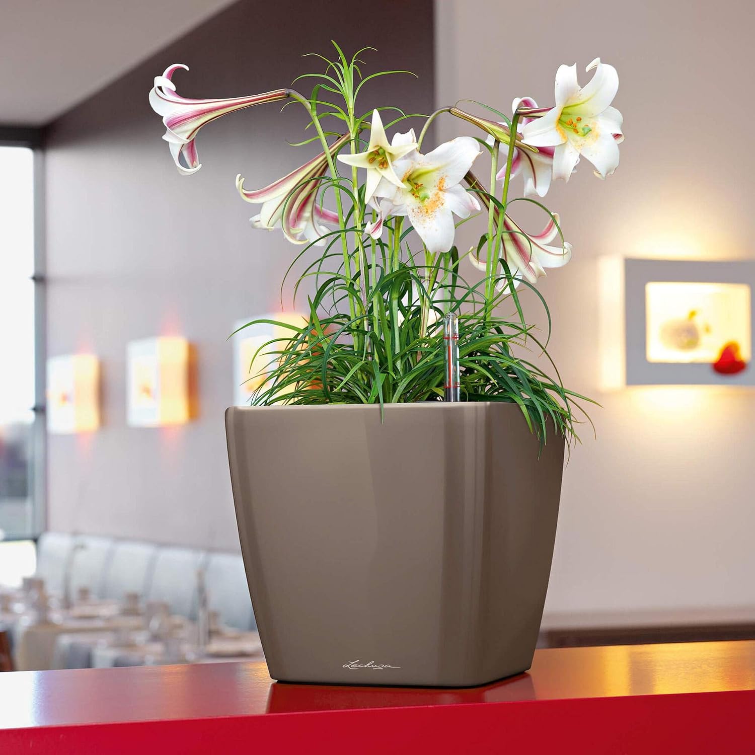 Lechuza Self Watering Plant Pot QUADRO LS 35 Garden Flower Indoor and Outdoor Plastic Planter with Drainage Hole H33 L35 W35 cm White High-Gloss - Image 5